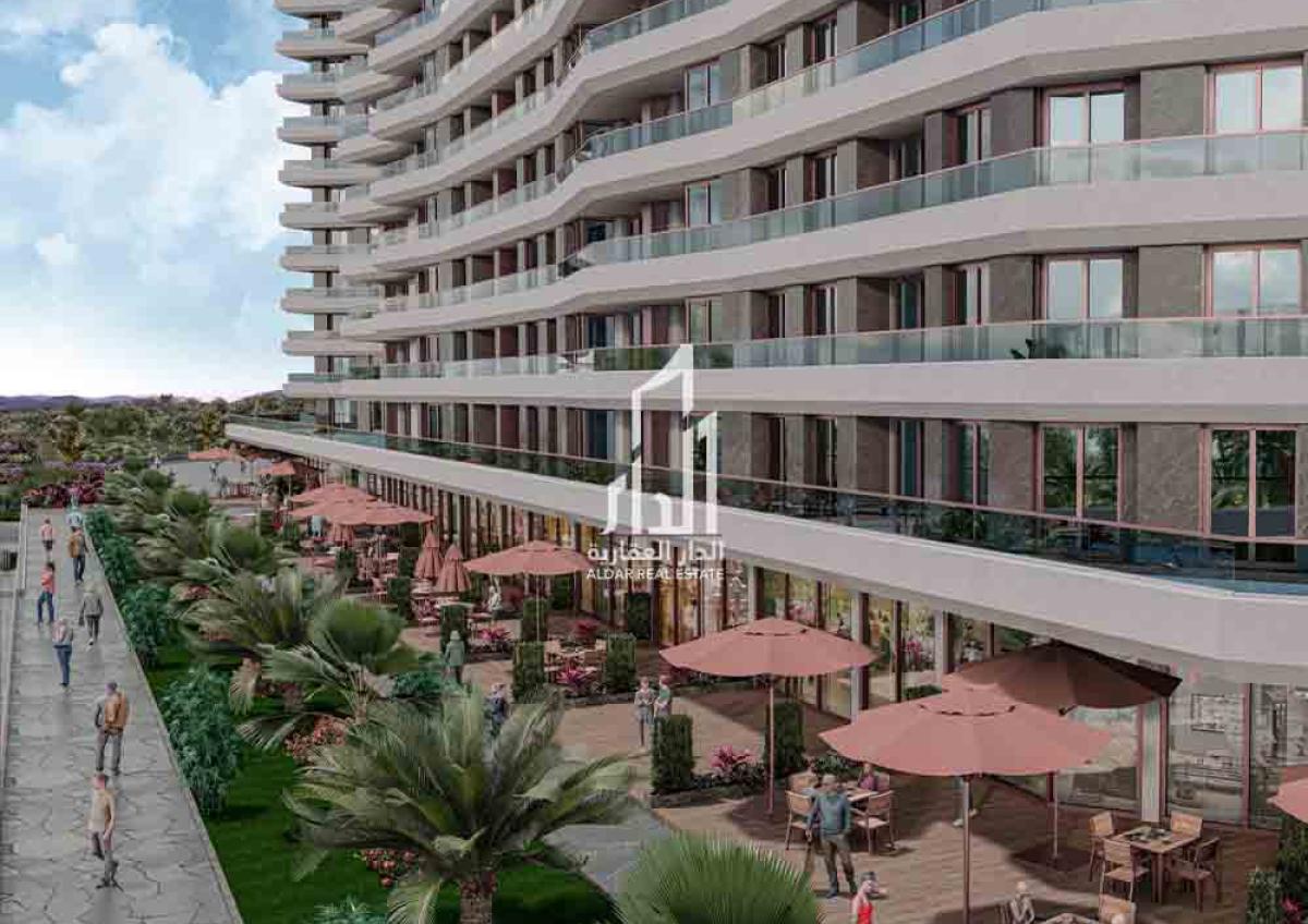 flamingo12
